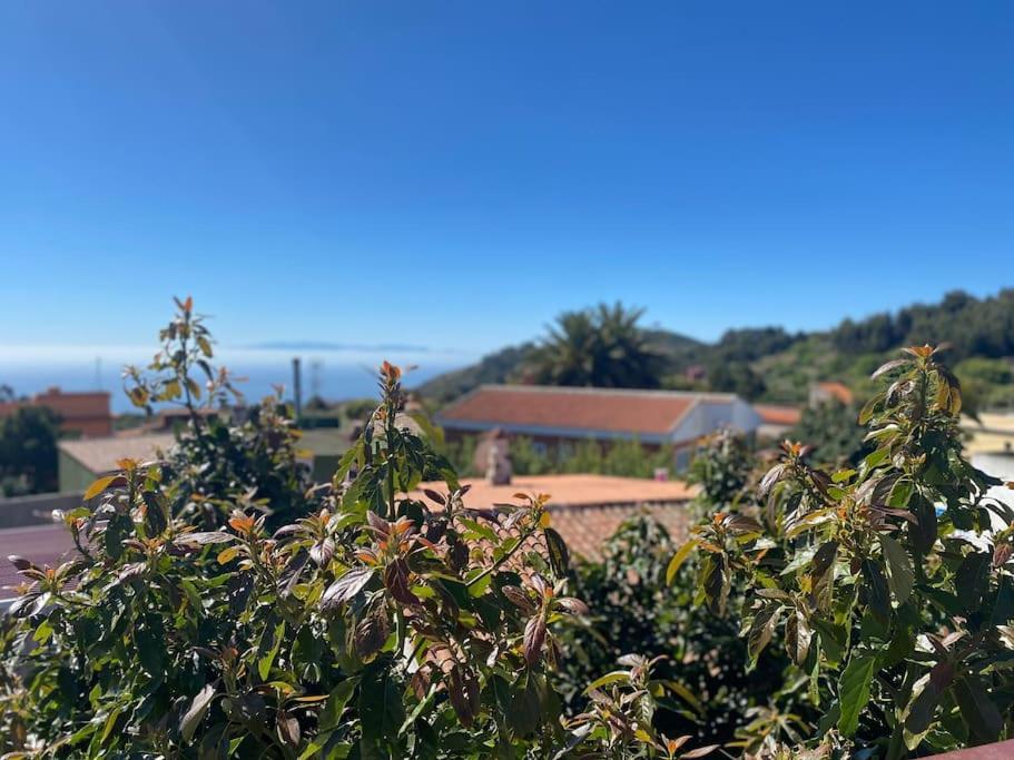 Cozy Apartament La Esperanza  Εξωτερικό φωτογραφία